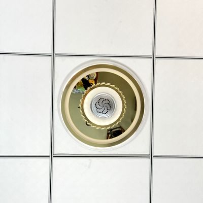 DC12V Ionisatiemodule voor Lamp Negatieve Ion Generator 8KV OEM