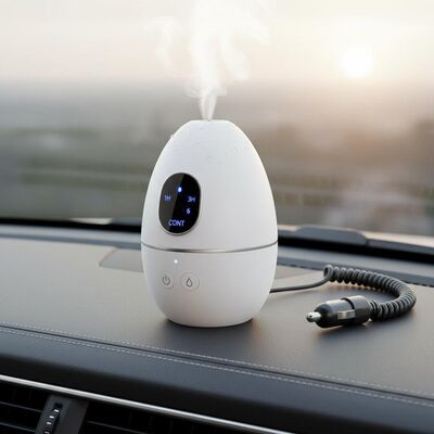 Goede prijs 1H 3H 6H CONT Timing Auto luchtbevochtiger 24V Compacte afmeting Geschikt voor plaatsing op het dashboard om continu vocht te bieden online